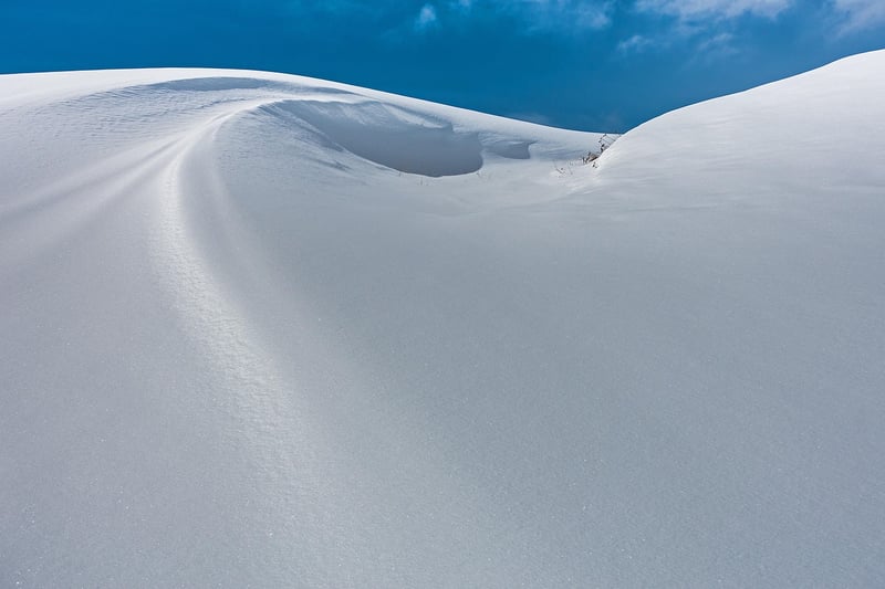 Winter Snow Landscape